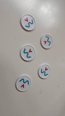 photo_2022-10-29_13-48-33