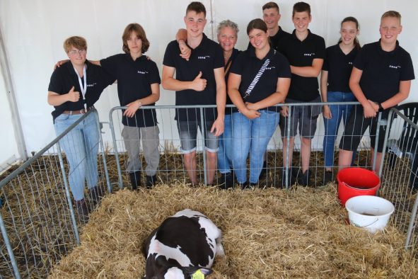 Holthoner Oogstdag 2023 DS Team Zone.college en kalverschetsen (Aangepast)