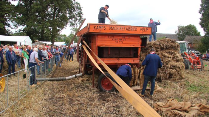 Holthoner Oogstdag 2023 DS dorsmachine 1937 weer in gebruik (Aangepast)