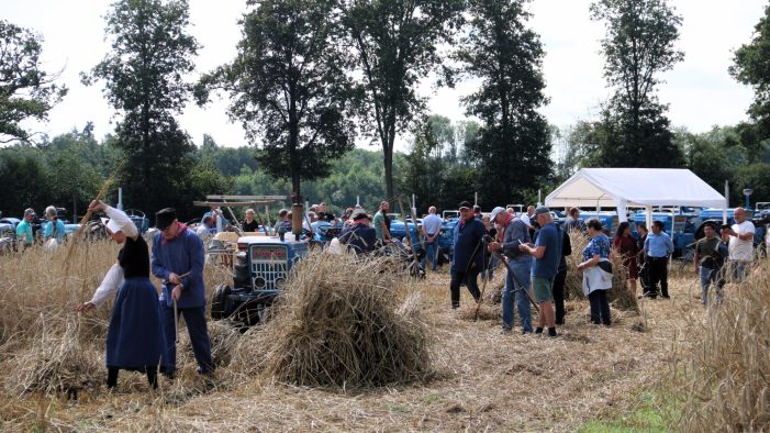 Holthoner Oogstdag 2023 DS oogstdag tafereel (Aangepast)