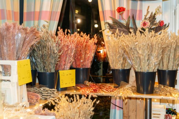 DSC08400-Verbeterd-NR