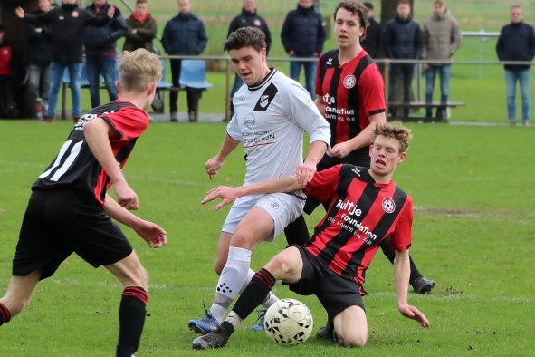 2240224 daarle-1e 081aa