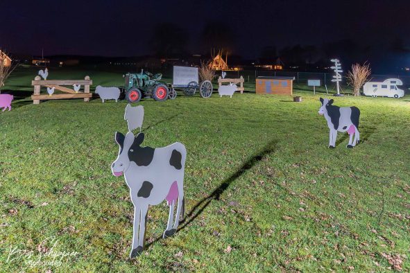 DSC04039-Verbeterd-NR