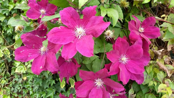 WhatsApp Image 2024-06-09 at 14.02.08