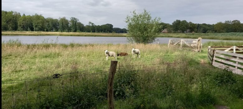 WhatsApp Image 2024-06-09 at 20.01.05