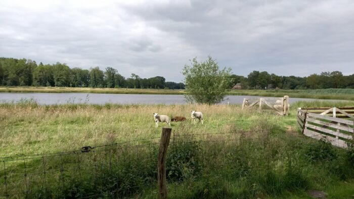 WhatsApp Image 2024-06-09 at 20.01.06 (1)