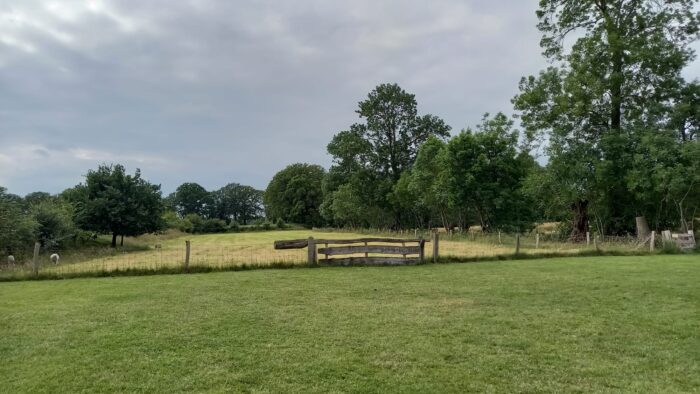 WhatsApp Image 2024-06-09 at 20.01.06