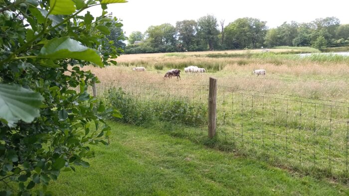 WhatsApp Image 2024-06-09 at 20.02.44