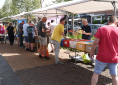 Zomerse drukte op de Braderie, vlooien en vinyl markt