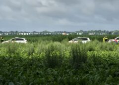 Lichaam aangetroffen in watergang bij Westerhaar