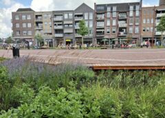 Organisatie zet streep door Pleinfestijn