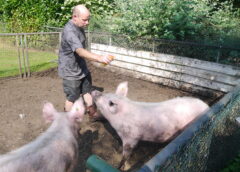 Hitteplan in werking bij kinderboerderij