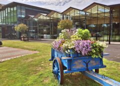 Dikke van Dale helpt komst supermarkt niet