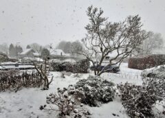 Videoreportage Sneeuwpret en beetje -overlast