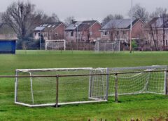 Ontwerp De Boekweit ligt dit jaar bij politiek